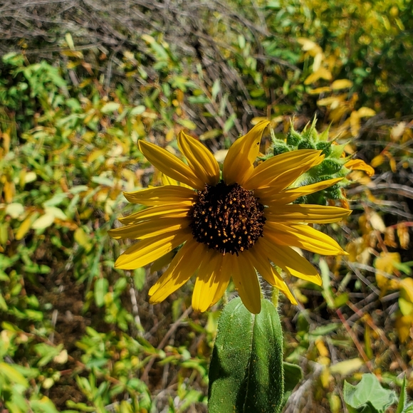 Meet your Posher, Steph 🐞 Ambassador - Picture 9 of 9